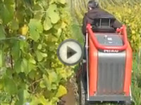 Pásový traktor Niko a naorávání vinice