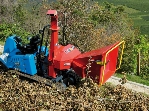geier_stepkovac.jpg